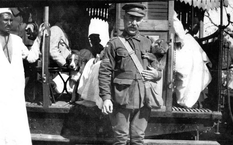 Капрал с животным-талисманом - коалой, в госпитале Каира, 1915