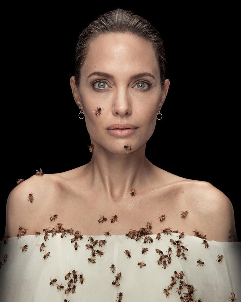 Анджелина Джоли снялась в неожиданной фотосессии с роем пчёл