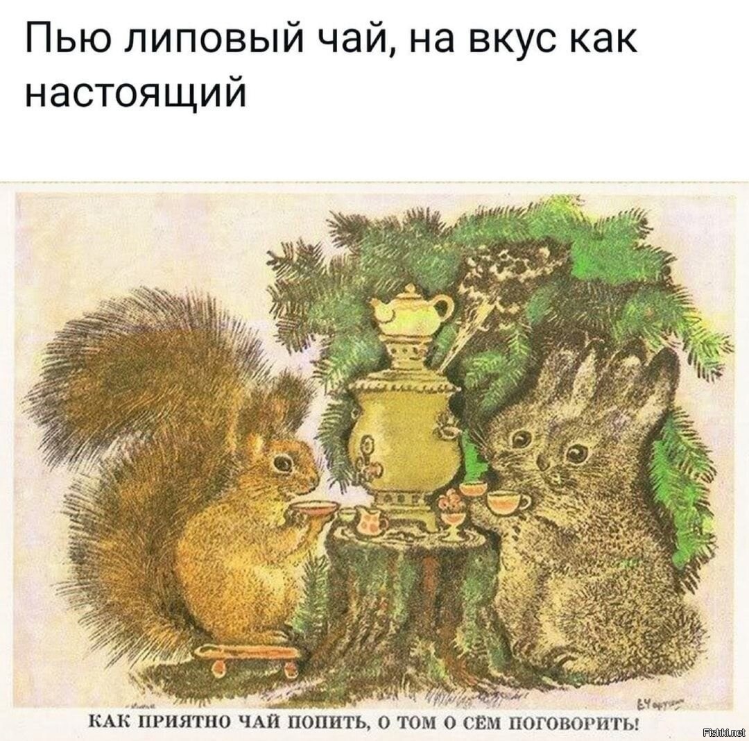 Художника иллюстратора чарушина