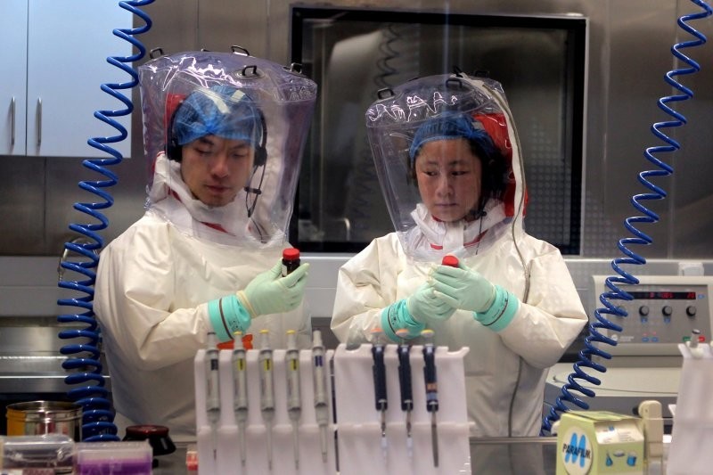 В США рассказали о доказательствах лабораторного происхождения коронавируса