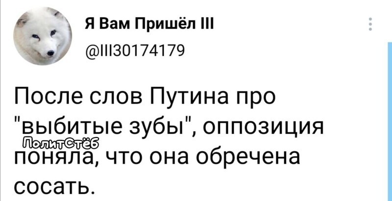 О политике и не только