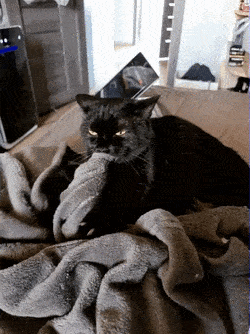 С добрым утром!