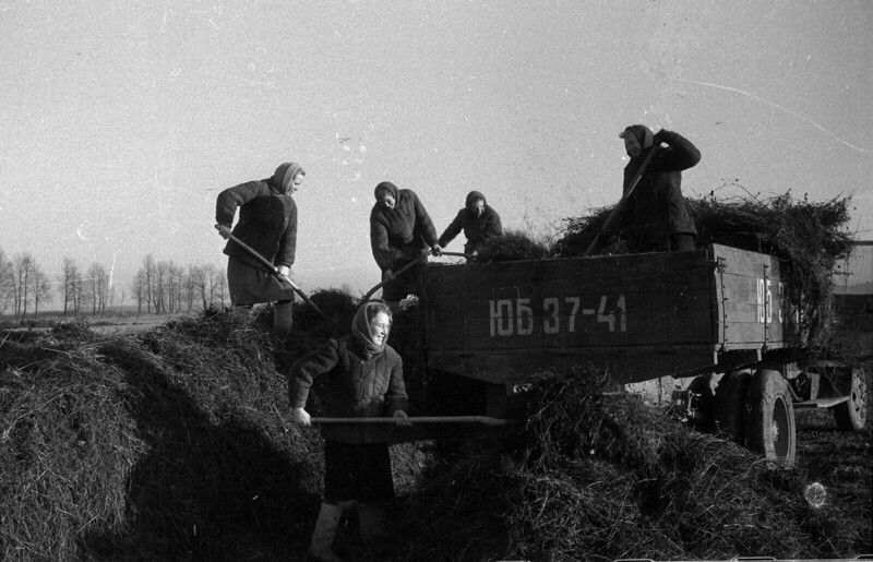 1952. Колхозницы