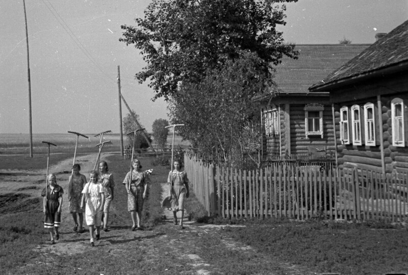 1954. «На полевые работы», Бежецкий район, июль