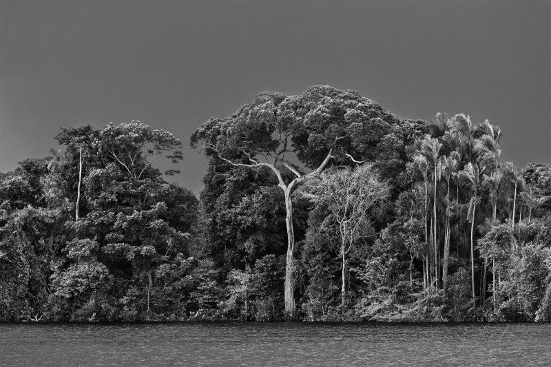 Захватывающее путешествие по бразильской Амазонии в новой гигантской фотокниге