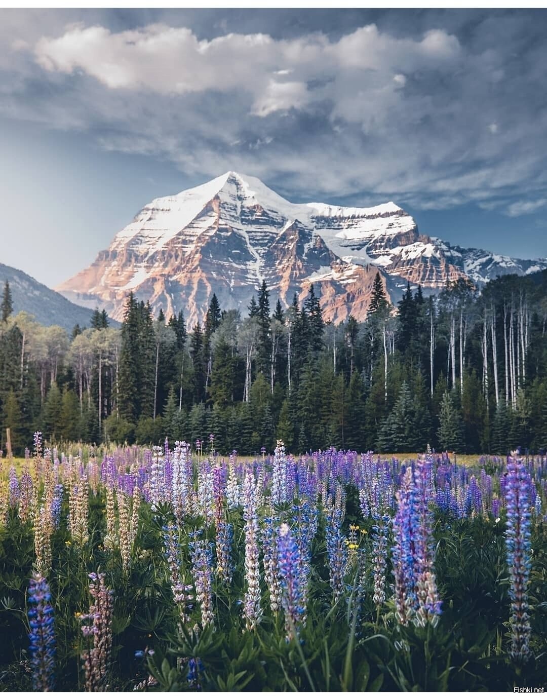 The highest mountain peaks are. Скалистые горы Британская Колумбия. Скалистые горы Канада. Колумбия горы. Британская Колумбия природа.