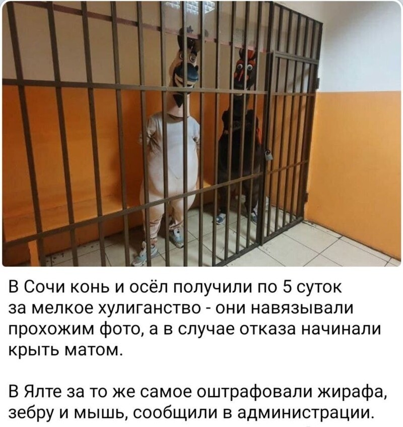 Политические новости с сарказмом и сатирой. 30.05.21