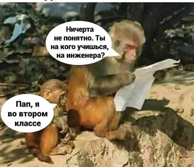 Располагаемся поудобнее и читаем утренние новости с сатирой и с сарказмом