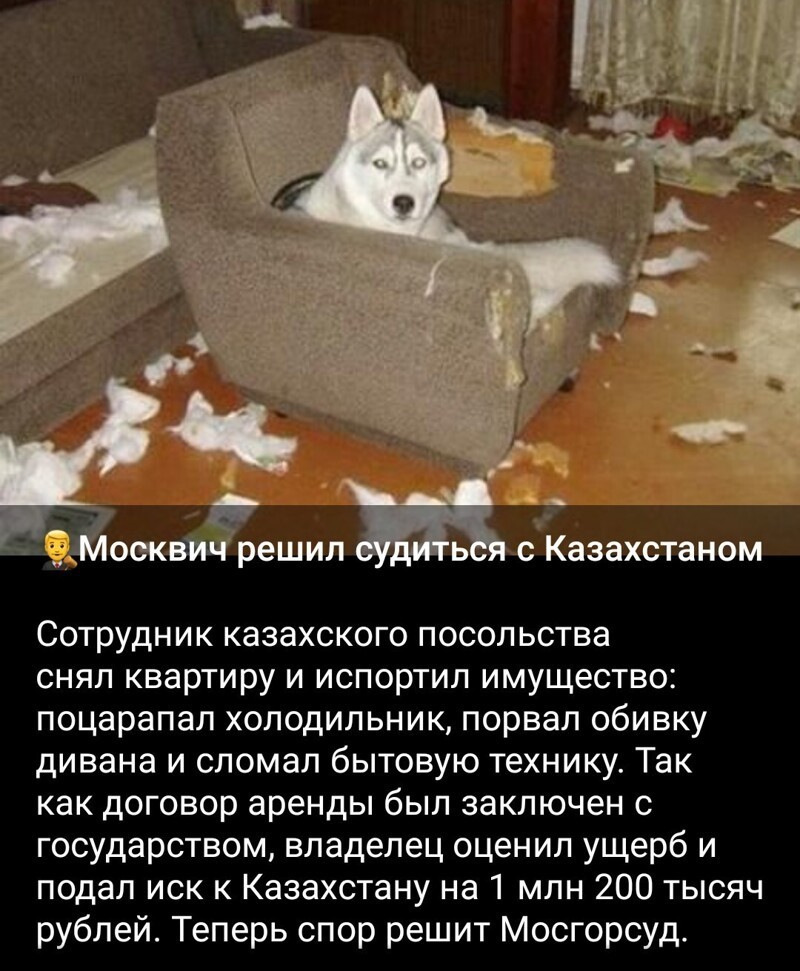 Располагаемся поудобнее и читаем утренние новости с сатирой и с сарказмом