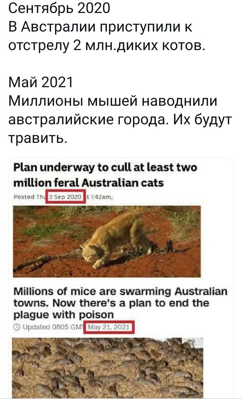 Располагаемся поудобнее и читаем утренние новости с сатирой и с сарказмом