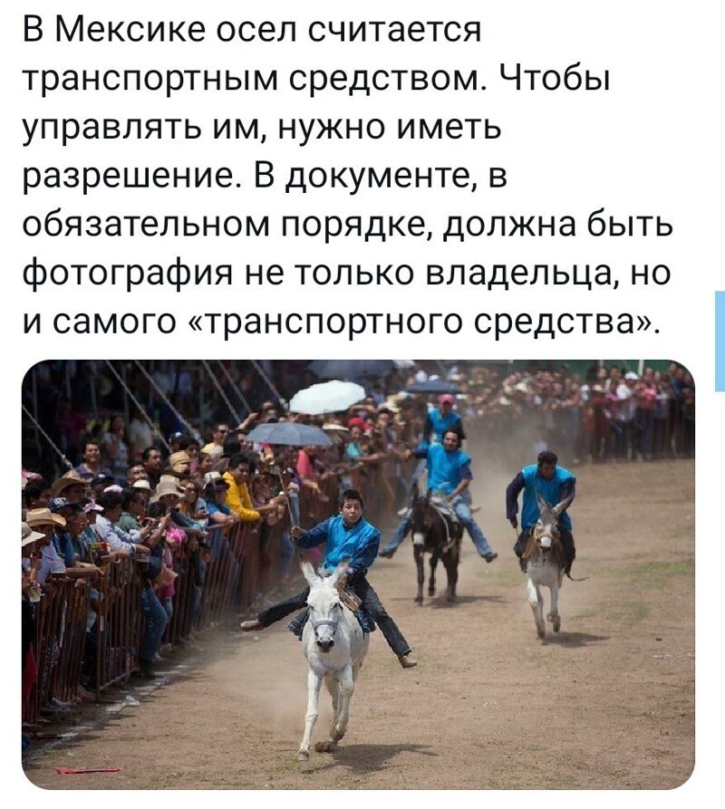 Располагаемся поудобнее и читаем утренние новости с сатирой и с сарказмом