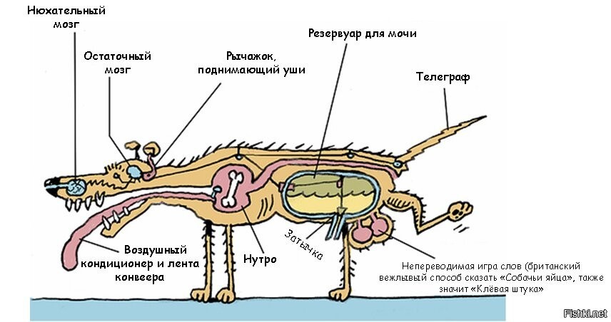 Принципиальная схема котэ