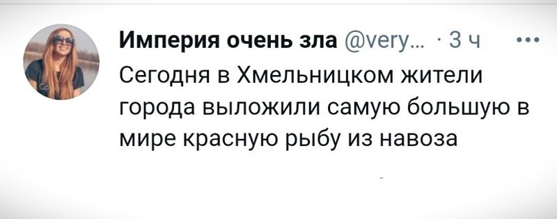 О политике и не только