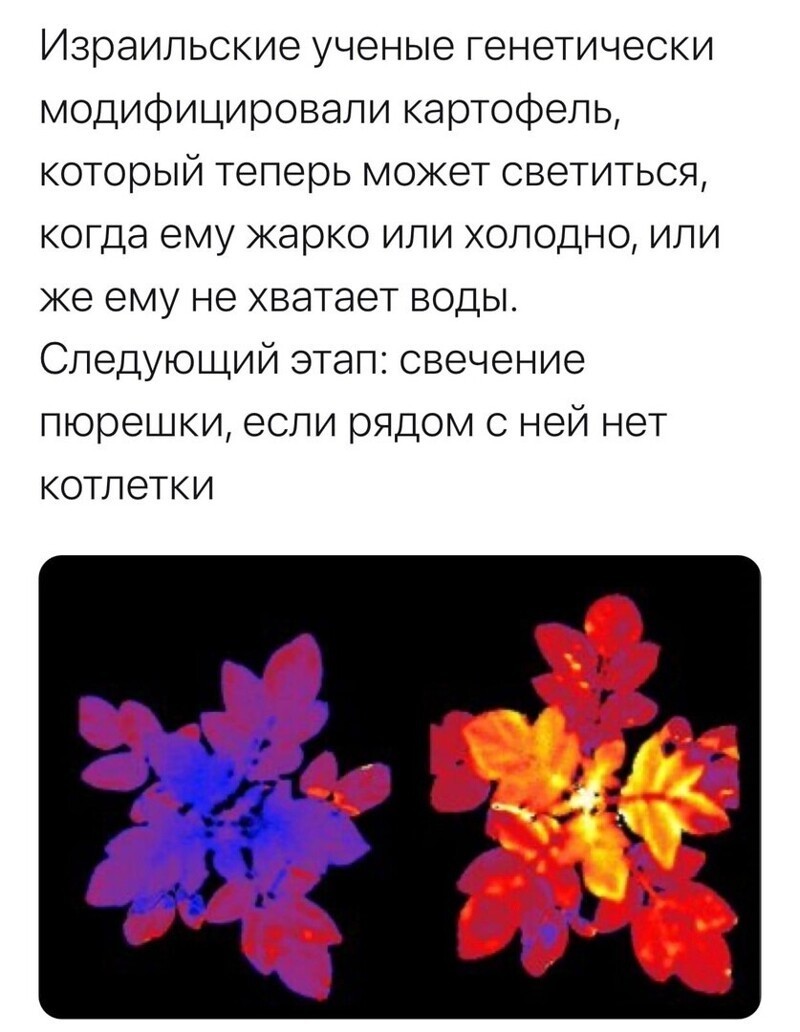 О политике и не только