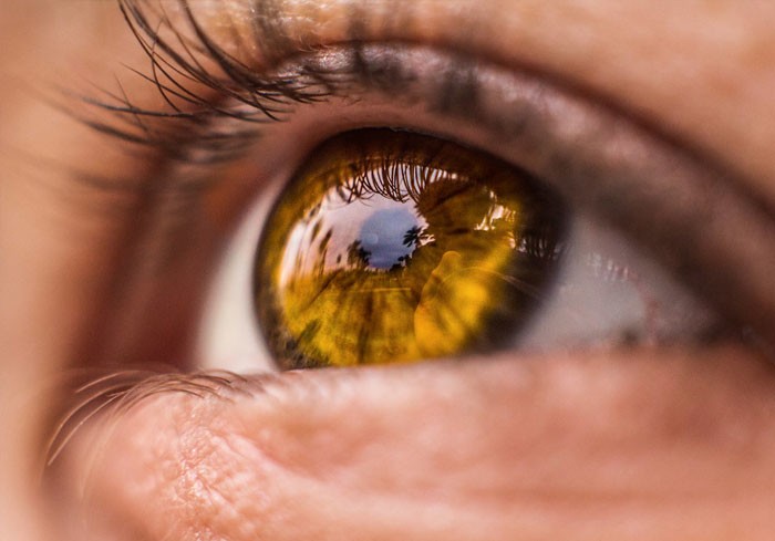 9. Только у 5% людей глаза янтарного цвета - золотистые или медные с вкраплениями золотого, зеленого или коричневого.