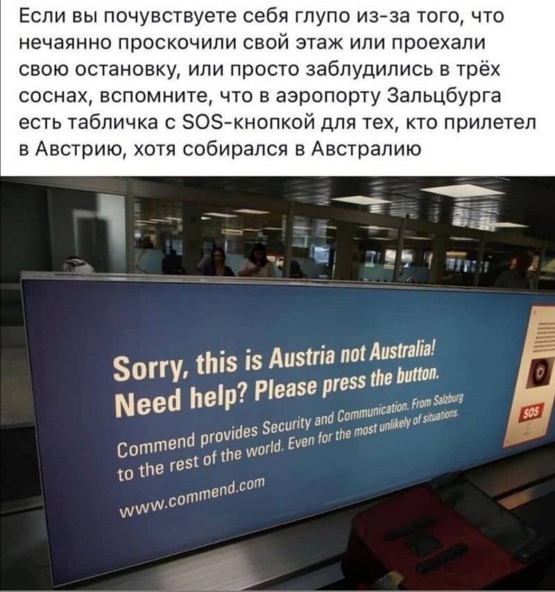 Ежедневный утренний обзор политических событий с сатирой и другое
