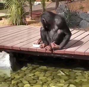 https://cdn.fishki.net/upload/post/2021/06/03/3780977/gallery/1622613805111523644.gif
