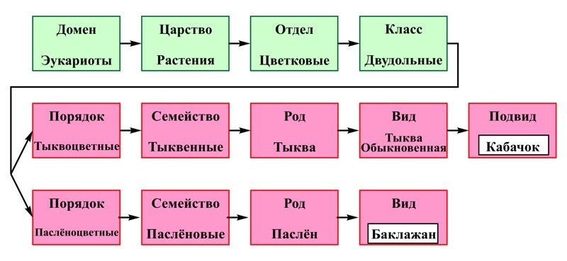 "Ох и дурють нашего брата!"