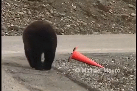 269caabd5d5c25d735cf181a4aed4be1.gif