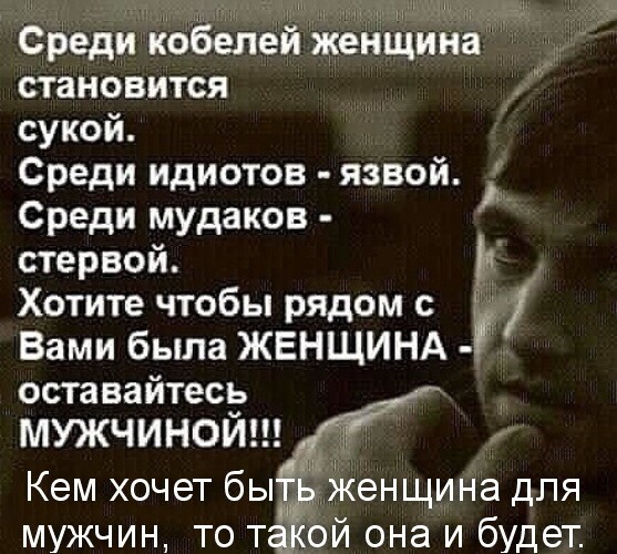 Весёлые истории о нас от Ветра Вольного