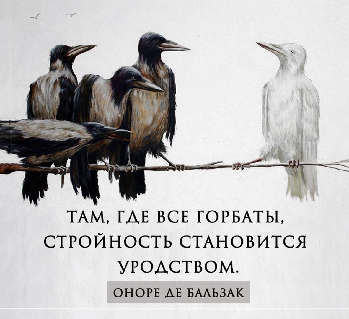 Весёлые истории о нас от Ветра Вольного