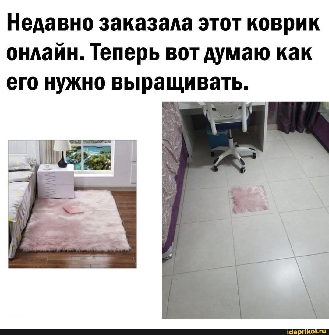 Весёлые истории о нас от Ветра Вольного