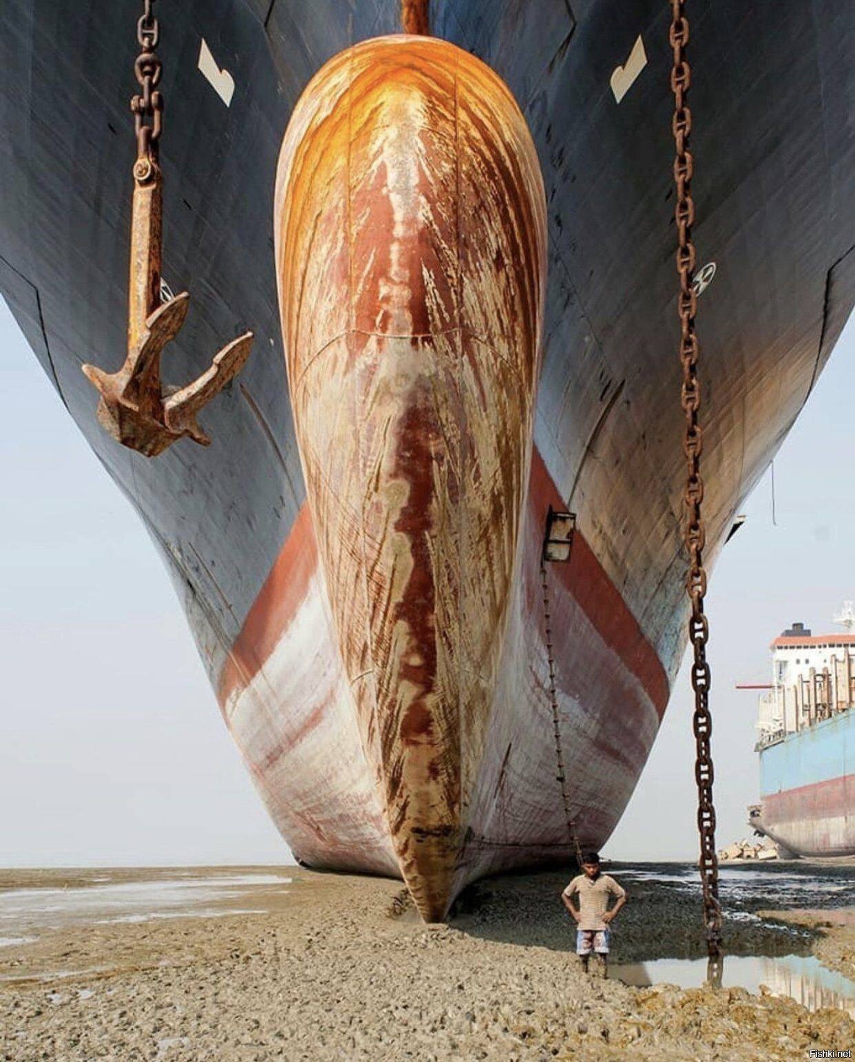https://cdn.fishki.net/upload/post/2021/06/06/3785765/a60025d40875afe03bf86185839be3d4.jpg