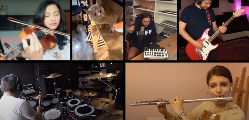 Музыканты со всего мира превратили видео с злобно мяукающим котом в хит сезона