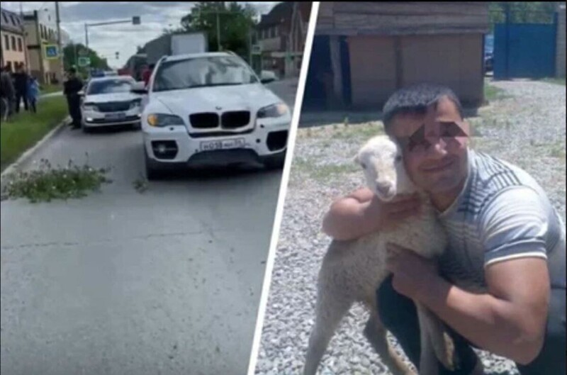 В Новосибирске азербайджанец сбил насмерть ребенка на "зебре"