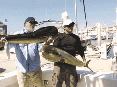 Секунда - и твоего улова уже нет