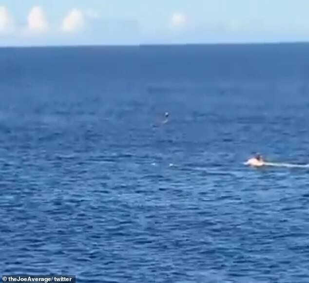 Австралийцы заметили с пляжа кита, который застрял в буйках