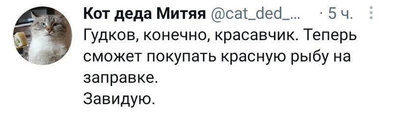 Ежедневный новостной дайджест с сатирой и другое