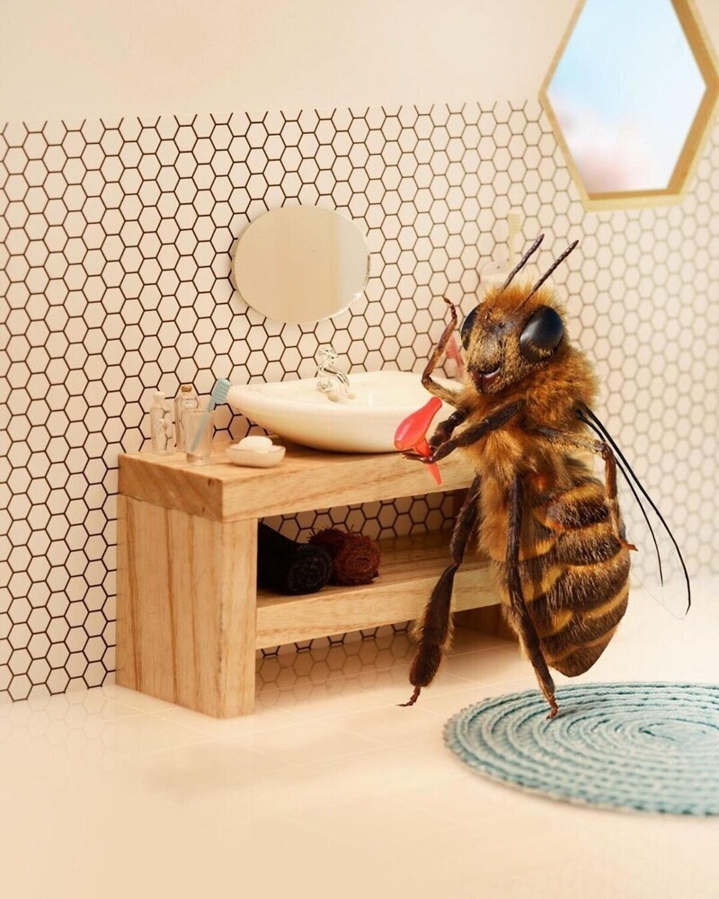 Пчела-блогер постит модные фото и спасает своих сородичей