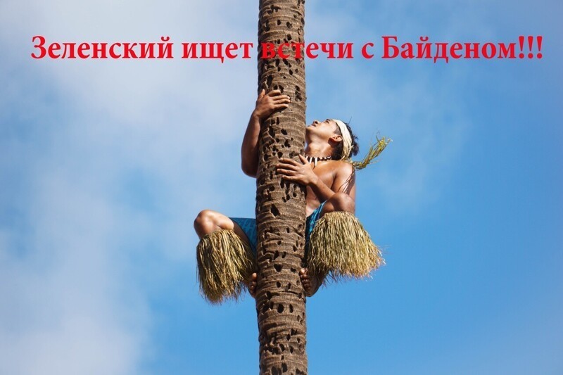 О политике и не только