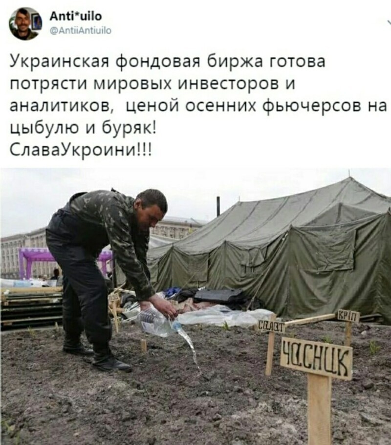 О политике и не только