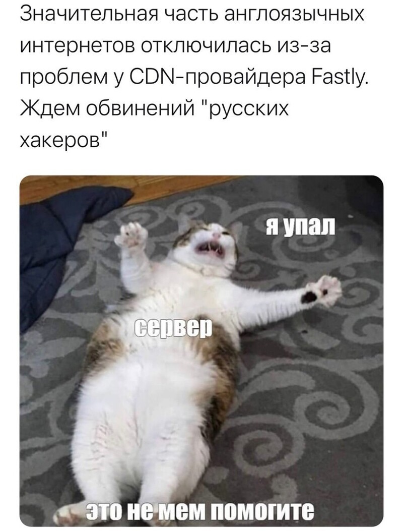 О политике и не только