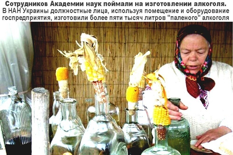 О политике и не только