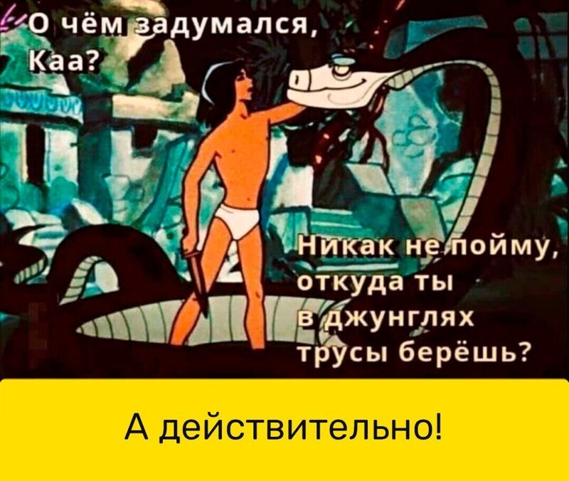 Коротко о разном