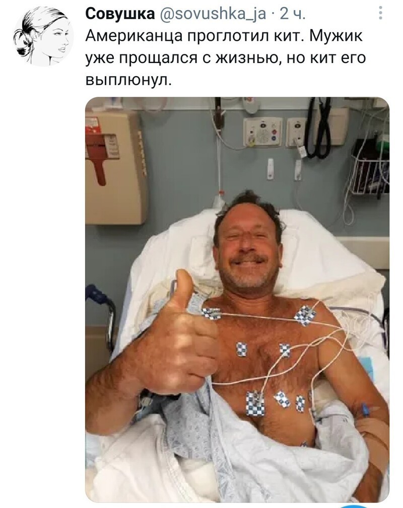 Калейдоскоп политической новостной сатиры и позитива