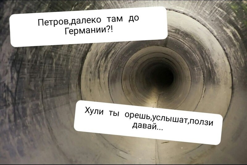 О политике и не только