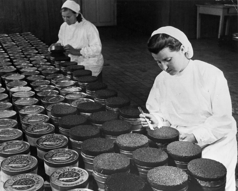 Ҡонтролеры А. Андреева и М. Мысова проверяют качество икры перед упаковкой на экспорт. Отделение Кировского рыбного хозяйства в Азербайджане, 1947 год
