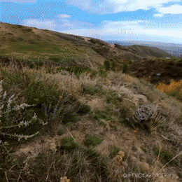 https://cdn.fishki.net/upload/post/2021/06/15/3797605/gallery/1622874694120083752.gif