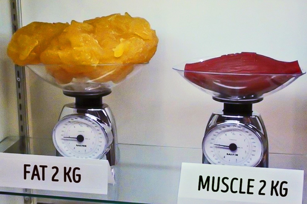 Два килограмма жира, по сравнению с двумя килограммами мышц
