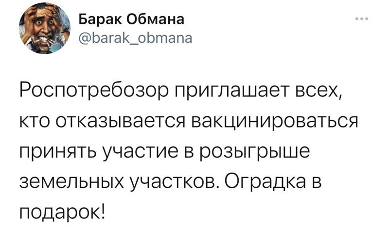 О политике и не только
