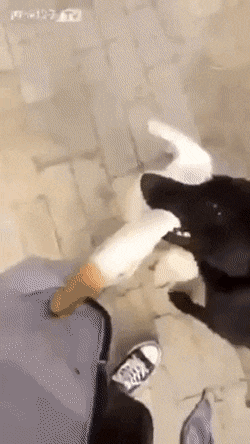 Да, снова гифки