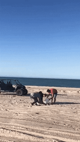 Да, снова гифки