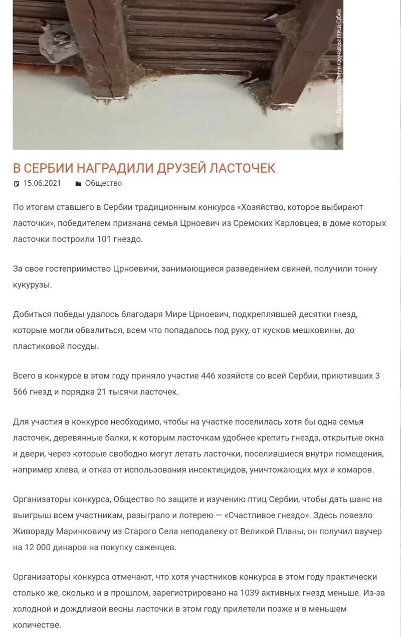 Калейдоскоп политической сатиры и позитива на злободневные темы