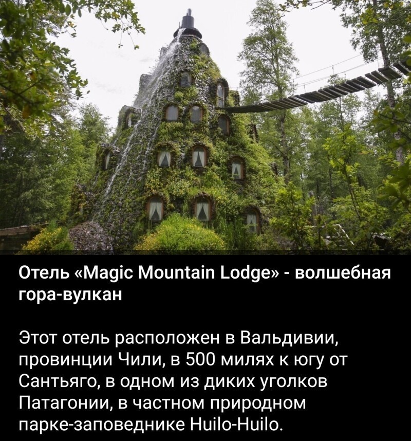 Калейдоскоп политической сатиры и позитива на злободневные темы
