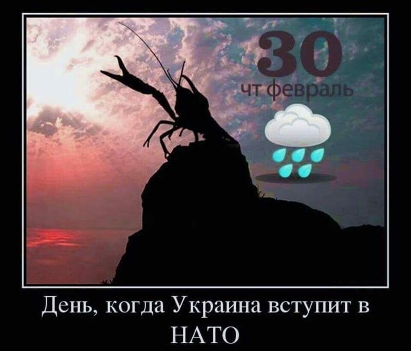 Нато мем. Украина НАТО Мем. Демотиватор Украина в НАТО. Мемы про НАТО И Украину. Анекдоты про НАТО.