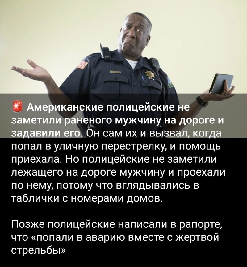 Калейдоскоп политической сатиры и другое